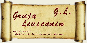 Gruja Levičanin vizit kartica